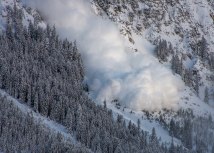 Foto: Shutterstock/ Denis Radermecker